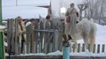 File:"28 панфиловцев". Работа художников..webm