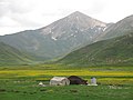 "Ashayer" tent in "Sefidab" Field,Lar چادرهای عشایردردشت سفیداب،لار - panoramio.jpg