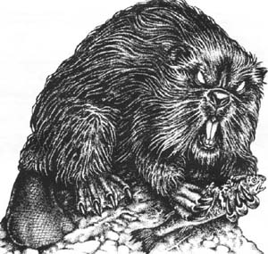 Image:Critter Burrowing Beaver.jpg