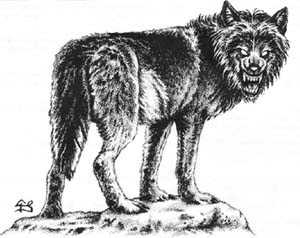 Image:Critter Fenrir Wolf.jpg