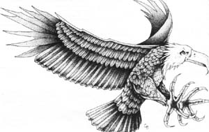 Image:Critter Imperial Eagle.jpg