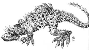 Image:Critter Rock Lizard.jpg